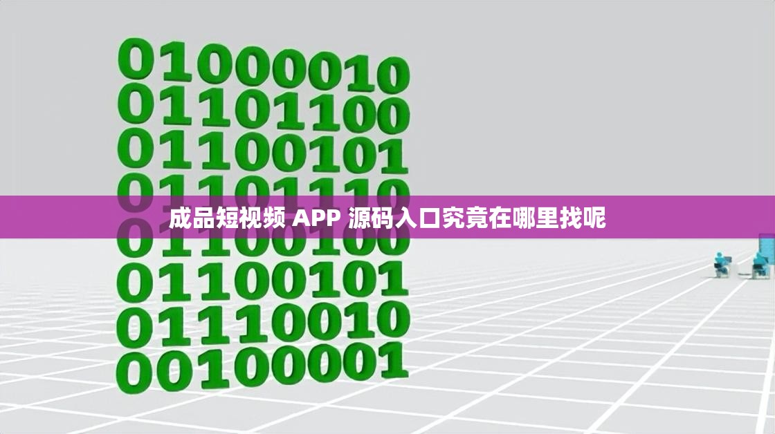 成品短视频 APP 源码入口究竟在哪里找呢
