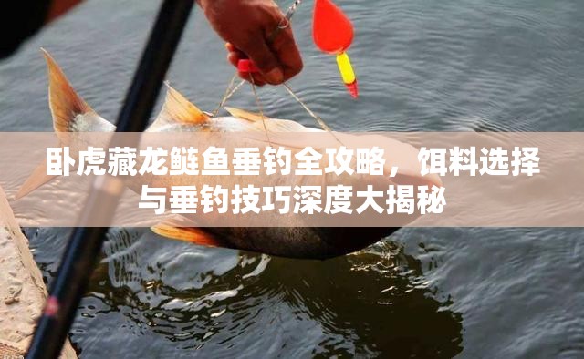 卧虎藏龙鲢鱼垂钓全攻略，饵料选择与垂钓技巧深度大揭秘