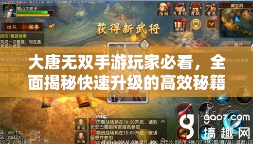 大唐无双手游玩家必看，全面揭秘快速升级的高效秘籍与策略
