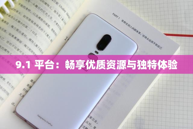 9.1 平台：畅享优质资源与独特体验