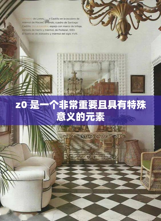 z0 是一个非常重要且具有特殊意义的元素