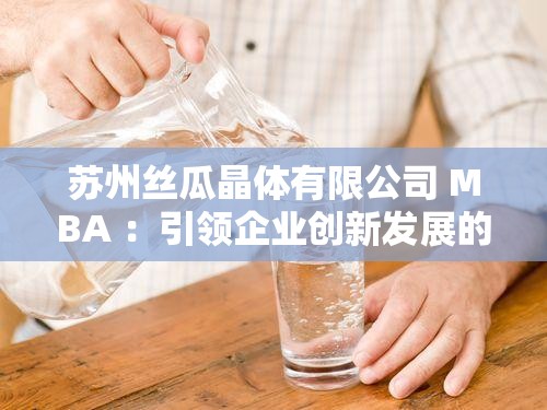 苏州丝瓜晶体有限公司 MBA ：引领企业创新发展的智慧力量
