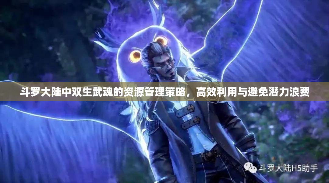 斗罗大陆中双生武魂的资源管理策略，高效利用与避免潜力浪费