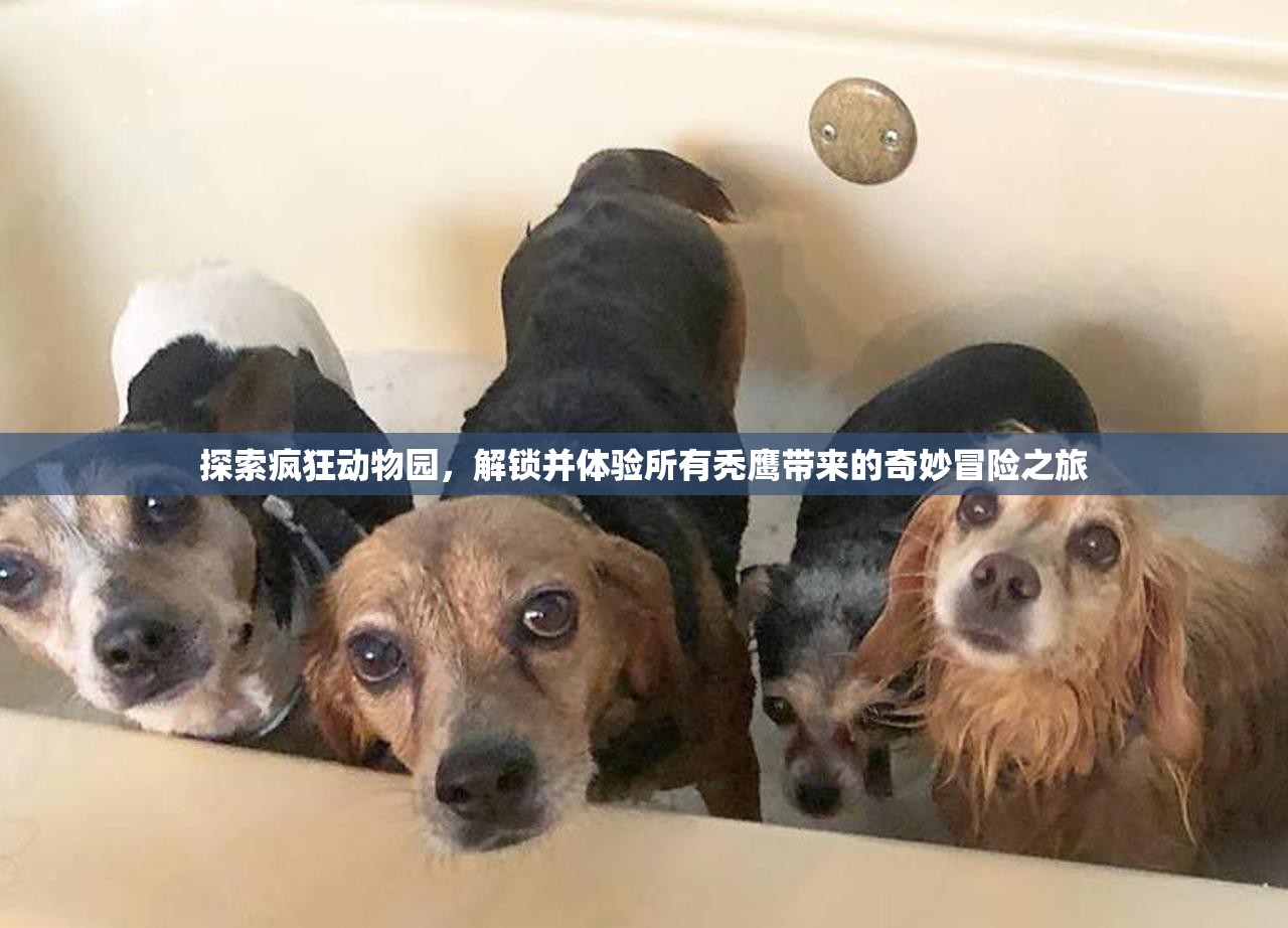 探索疯狂动物园，解锁并体验所有秃鹰带来的奇妙冒险之旅