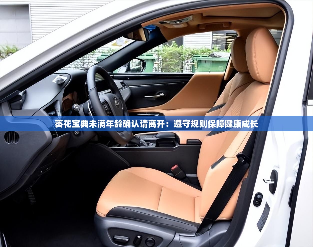 葵花宝典未满年龄确认请离开：遵守规则保障健康成长