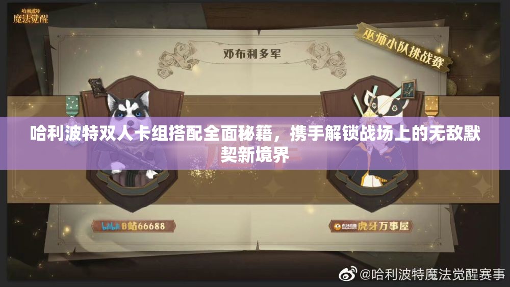 哈利波特双人卡组搭配全面秘籍，携手解锁战场上的无敌默契新境界