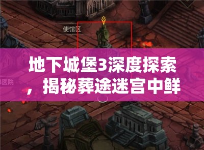 地下城堡3深度探索，揭秘葬途迷宫中鲜为人知的隐秘入口