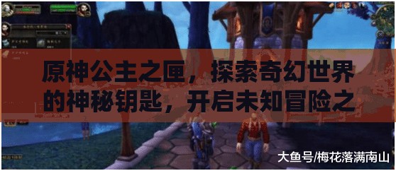 原神公主之匣，探索奇幻世界的神秘钥匙，开启未知冒险之旅