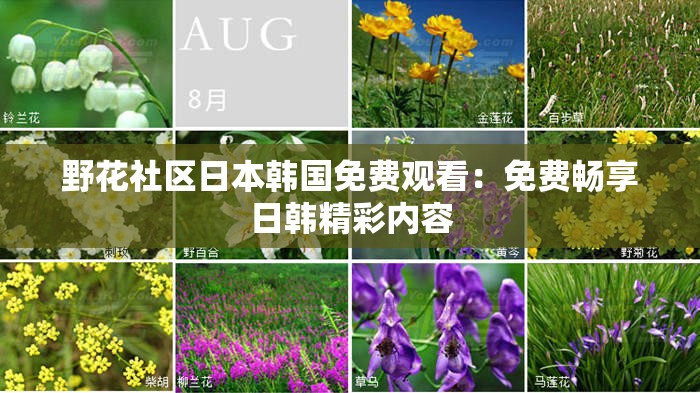野花社区日本韩国免费观看：免费畅享日韩精彩内容