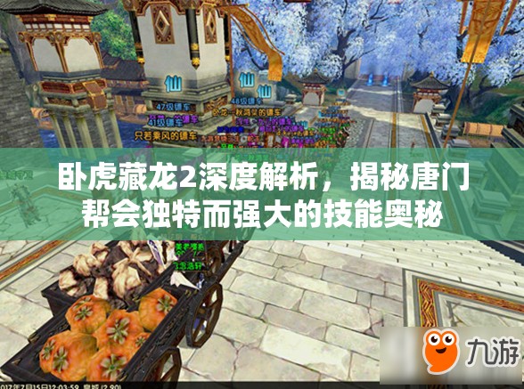 卧虎藏龙2深度解析，揭秘唐门帮会独特而强大的技能奥秘