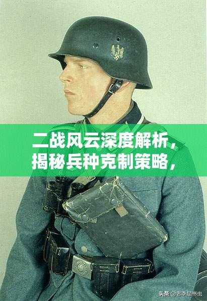 二战风云深度解析，揭秘兵种克制策略，掌握制胜战场的关键之道