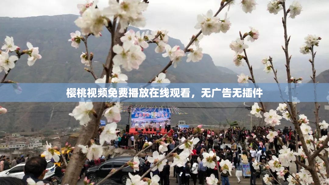 樱桃视频免费播放在线观看，无广告无插件