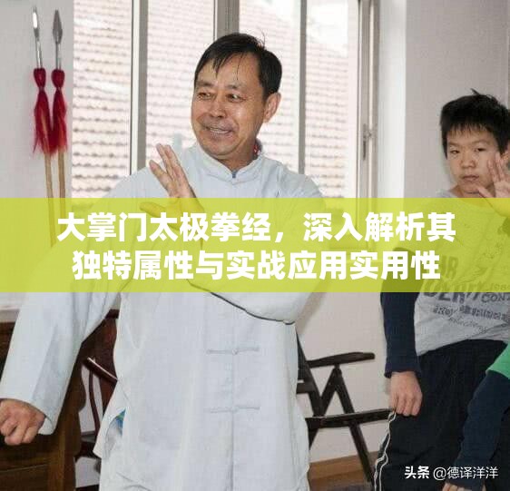 大掌门太极拳经，深入解析其独特属性与实战应用实用性