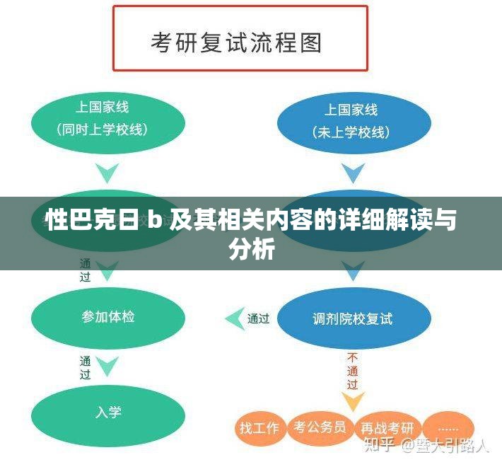 性巴克日 b 及其相关内容的详细解读与分析