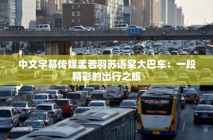 中文字幕传媒孟若羽苏语棠大巴车：一段精彩的出行之旅