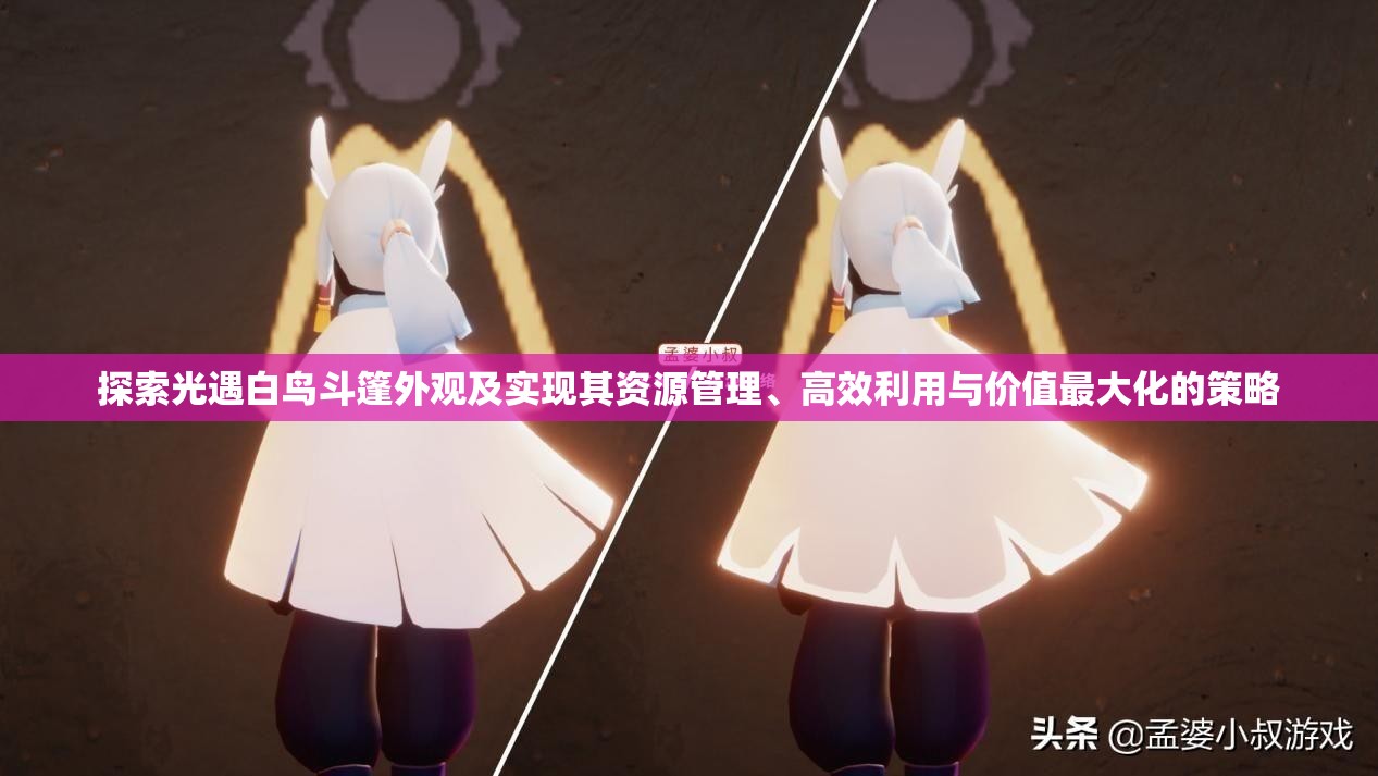 探索光遇白鸟斗篷外观及实现其资源管理、高效利用与价值最大化的策略