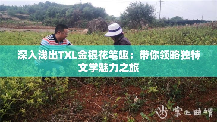 深入浅出TXL金银花笔趣：带你领略独特文学魅力之旅