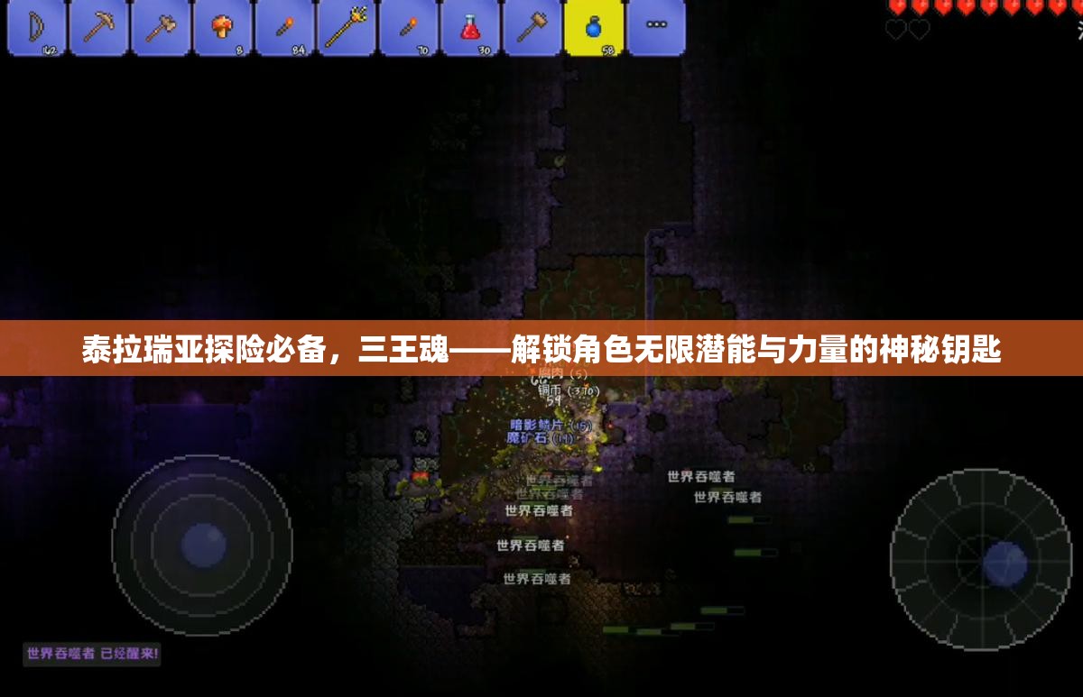 泰拉瑞亚探险必备，三王魂——解锁角色无限潜能与力量的神秘钥匙