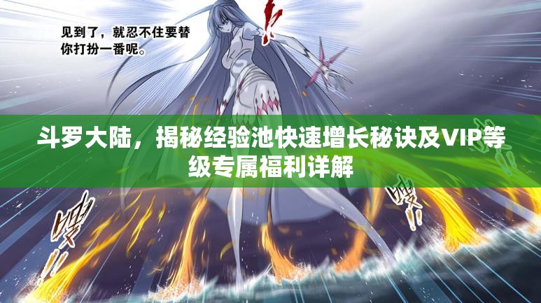 斗罗大陆，揭秘经验池快速增长秘诀及VIP等级专属福利详解