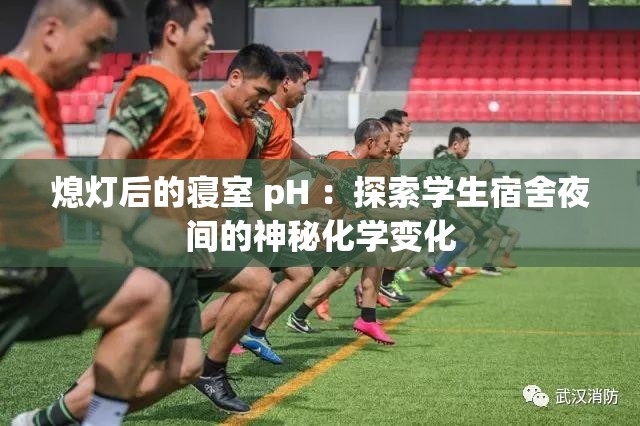 熄灯后的寝室 pH ：探索学生宿舍夜间的神秘化学变化