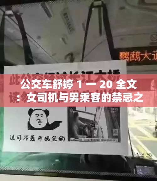 公交车舒婷 1 一 20 全文：女司机与男乘客的禁忌之爱