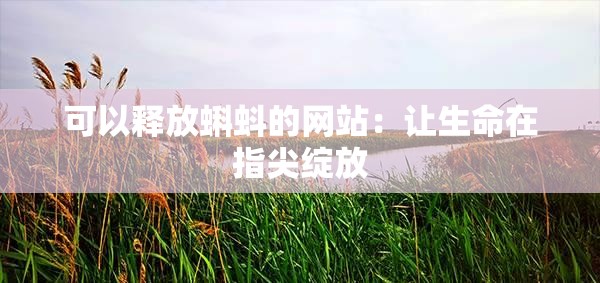 可以释放蝌蚪的网站：让生命在指尖绽放