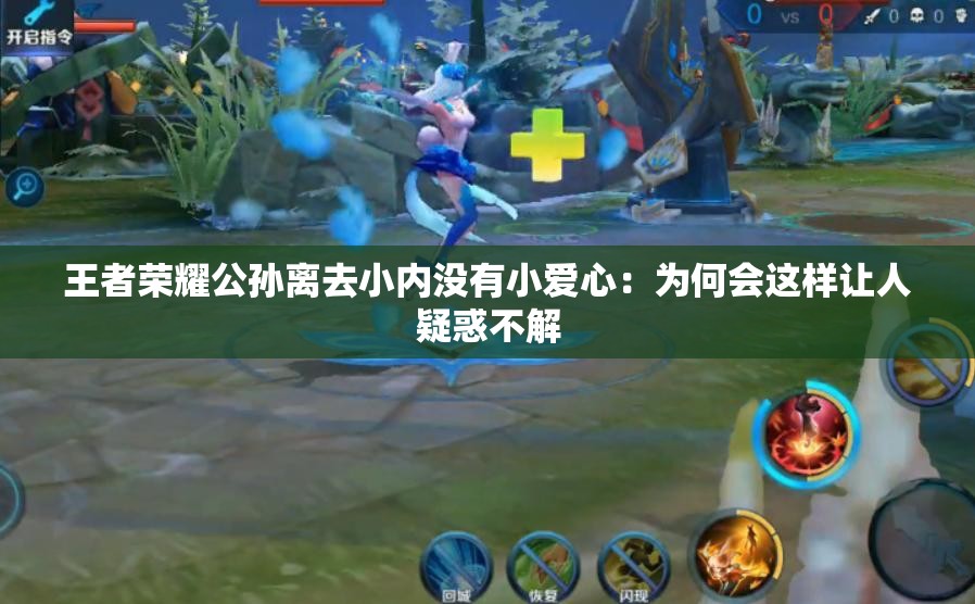 王者荣耀公孙离去小内没有小爱心：为何会这样让人疑惑不解
