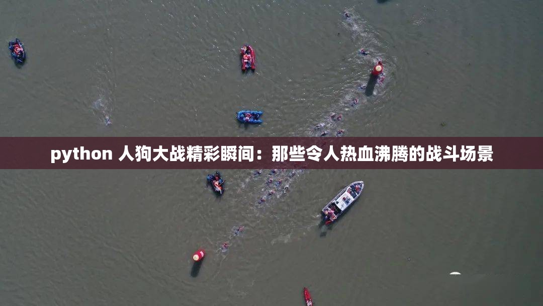python 人狗大战精彩瞬间：那些令人热血沸腾的战斗场景