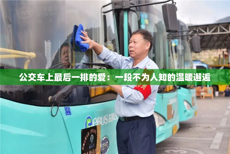 公交车上最后一排的爱：一段不为人知的温暖邂逅