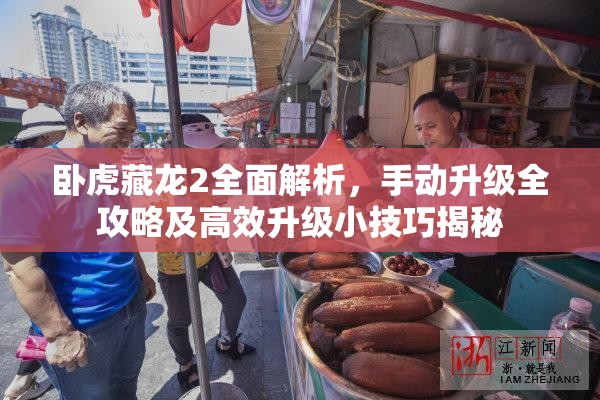 卧虎藏龙2全面解析，手动升级全攻略及高效升级小技巧揭秘