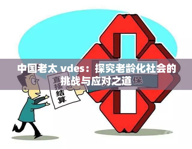 中国老太 vdes：探究老龄化社会的挑战与应对之道