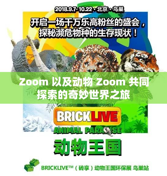Zoom 以及动物 Zoom 共同探索的奇妙世界之旅