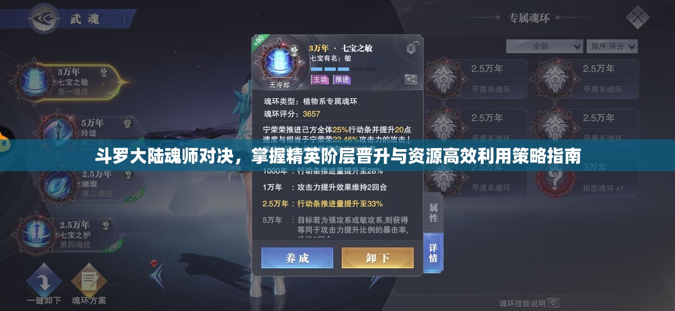 斗罗大陆魂师对决，掌握精英阶层晋升与资源高效利用策略指南