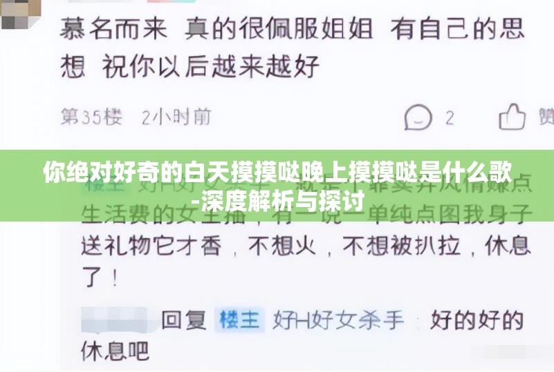 你绝对好奇的白天摸摸哒晚上摸摸哒是什么歌-深度解析与探讨