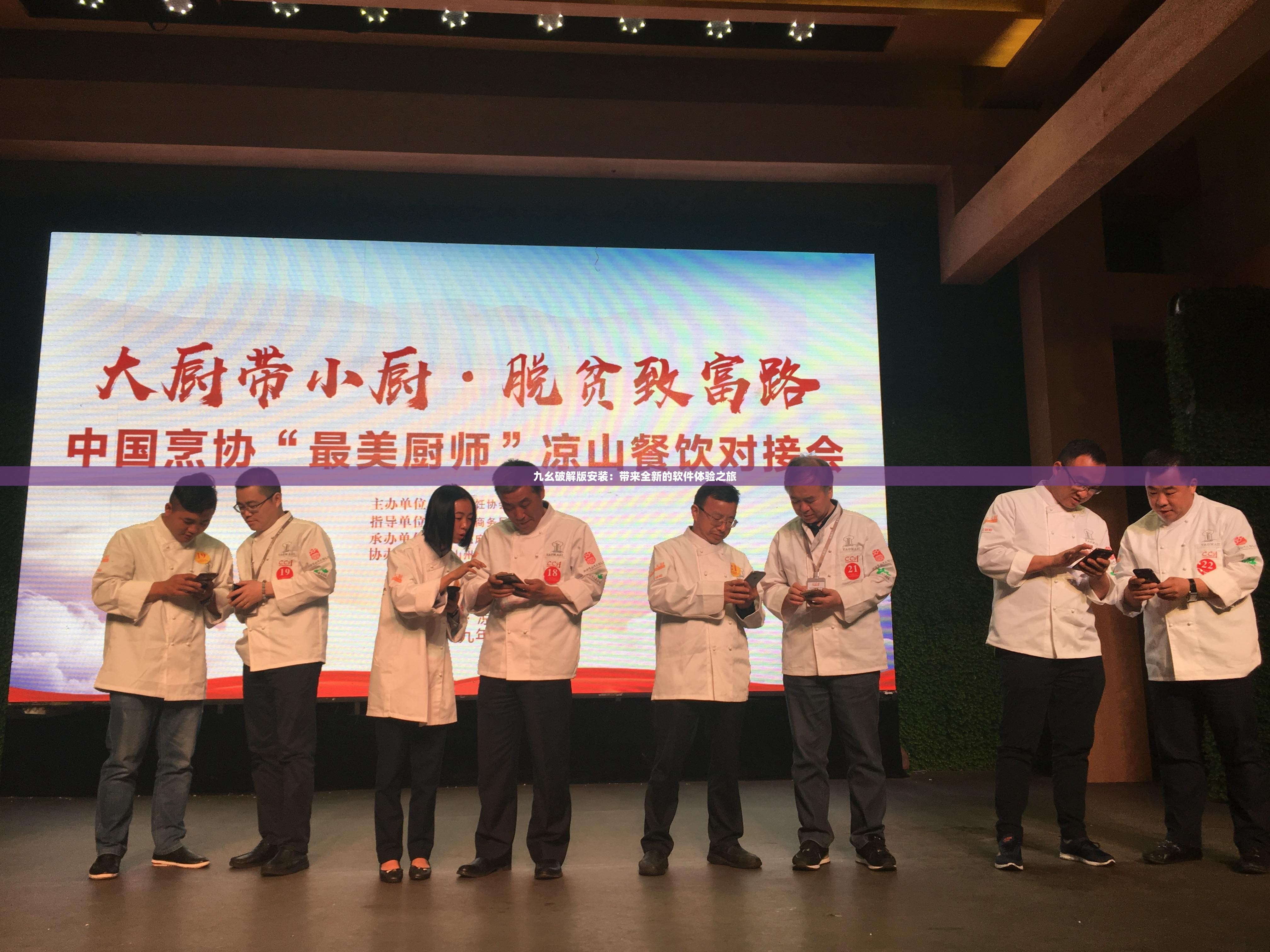 九幺破解版安装：带来全新的软件体验之旅