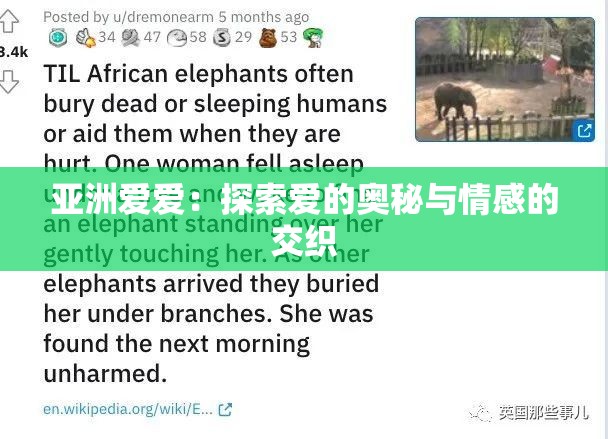 亚洲爱爱：探索爱的奥秘与情感的交织