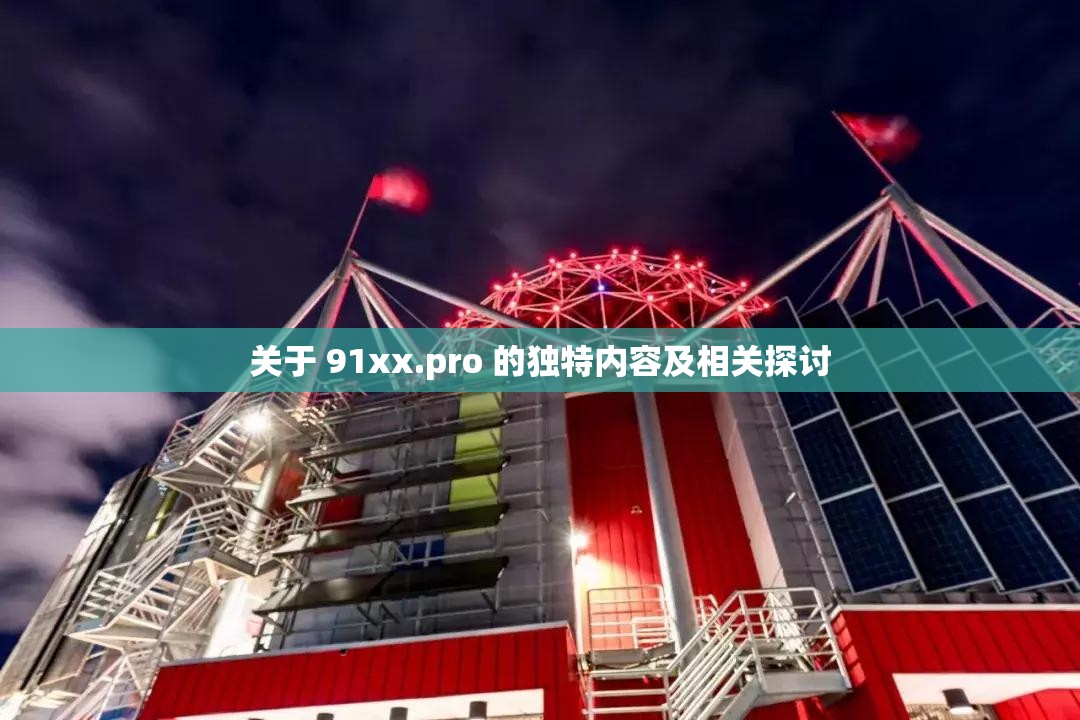 关于 91xx.pro 的独特内容及相关探讨