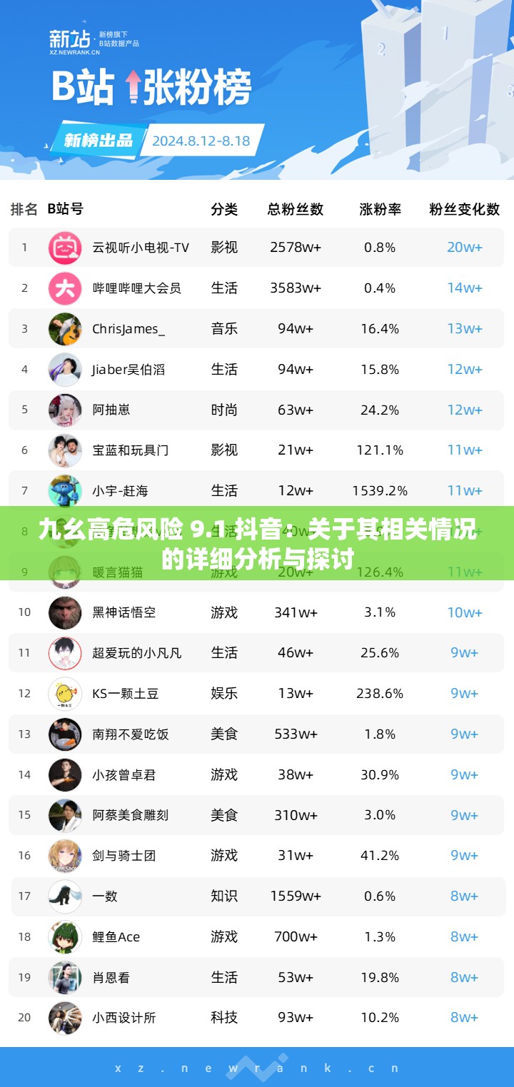 九幺高危风险 9.1 抖音：关于其相关情况的详细分析与探讨