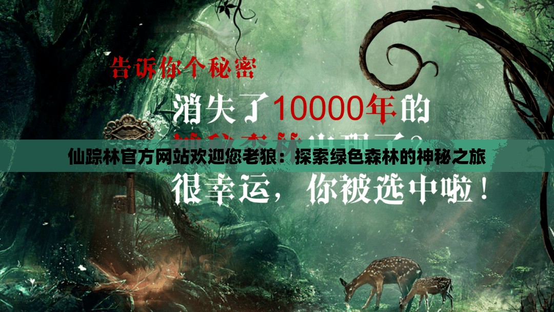 仙踪林官方网站欢迎您老狼：探索绿色森林的神秘之旅
