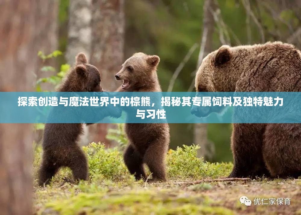 探索创造与魔法世界中的棕熊，揭秘其专属饲料及独特魅力与习性