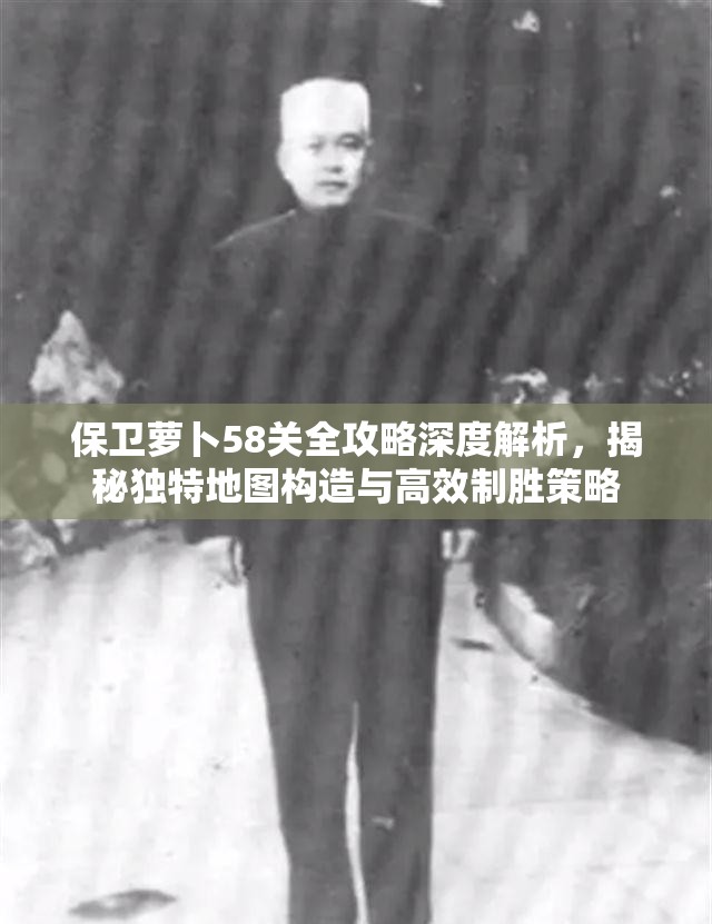 保卫萝卜58关全攻略深度解析，揭秘独特地图构造与高效制胜策略