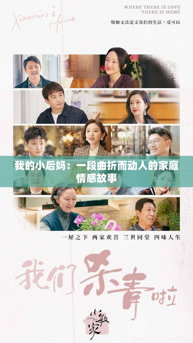 我的小后妈：一段曲折而动人的家庭情感故事