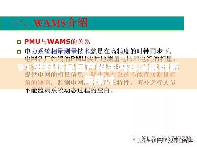 91 黑料精品国产相关内容深度剖析与探讨
