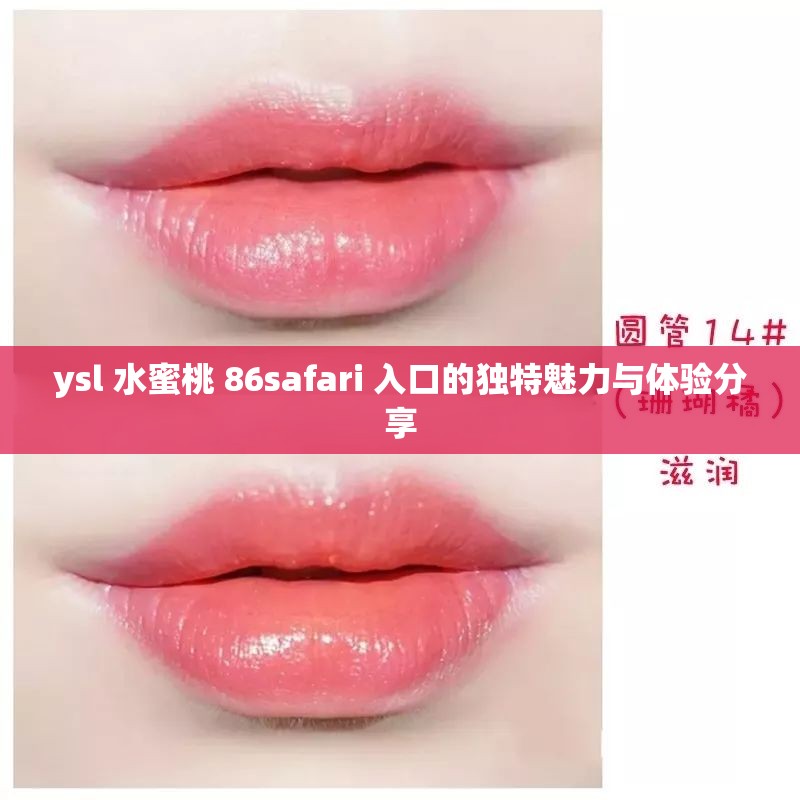 ysl 水蜜桃 86safari 入口的独特魅力与体验分享