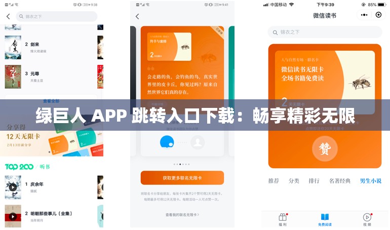 绿巨人 APP 跳转入口下载：畅享精彩无限