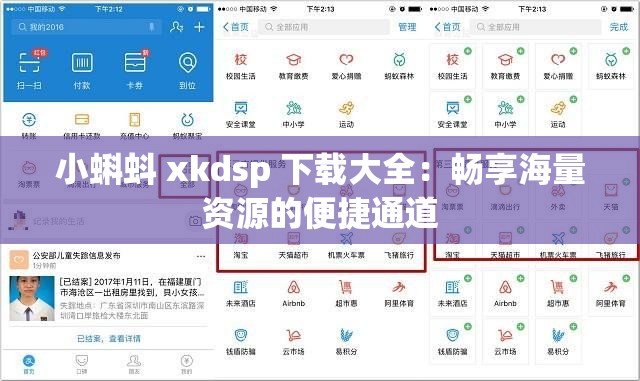小蝌蚪 xkdsp 下载大全：畅享海量资源的便捷通道