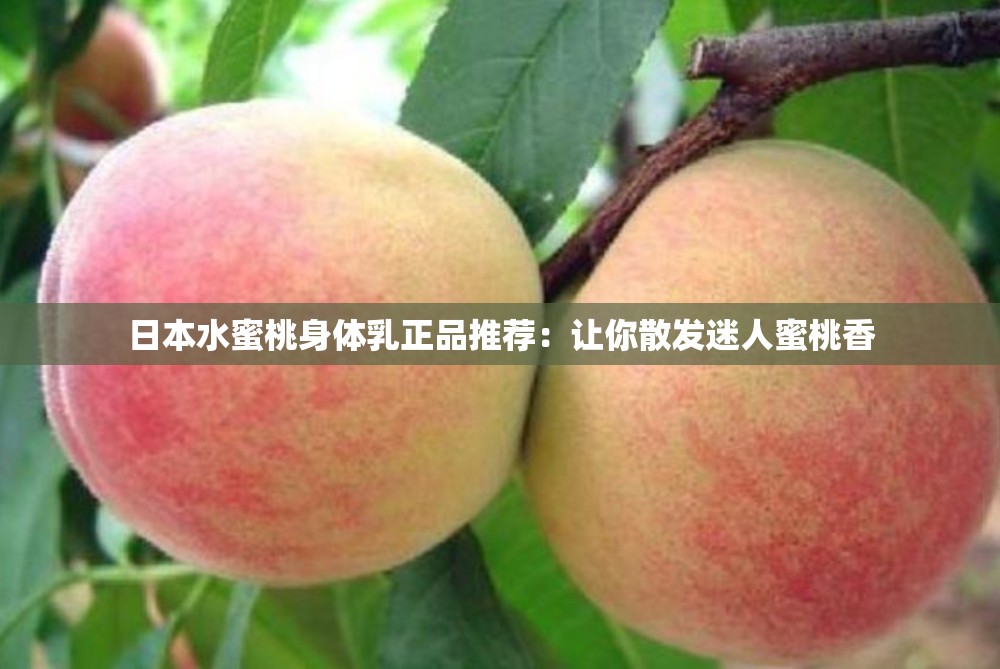 日本水蜜桃身体乳正品推荐：让你散发迷人蜜桃香