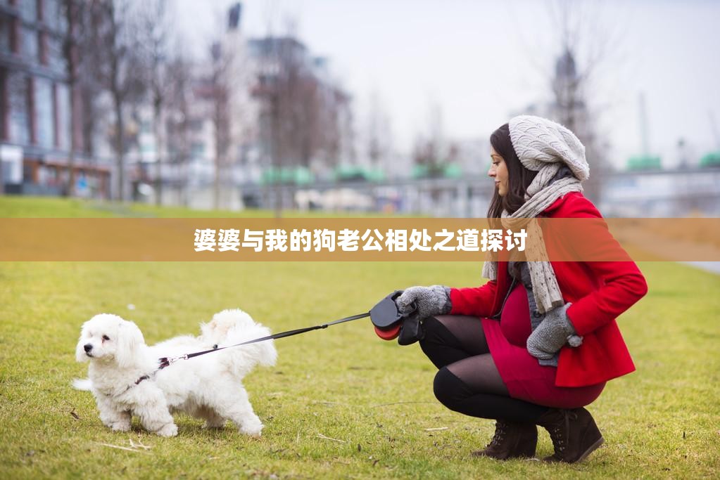 婆婆与我的狗老公相处之道探讨