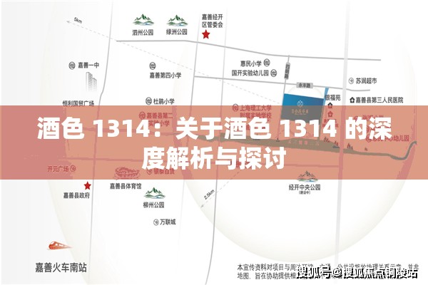 酒色 1314：关于酒色 1314 的深度解析与探讨