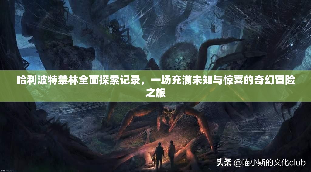 哈利波特禁林全面探索记录，一场充满未知与惊喜的奇幻冒险之旅